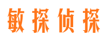 秀洲侦探公司